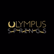 Olympus Springs - We Repair and Install All Garage Door Brands - Asap Garage Door Repair -